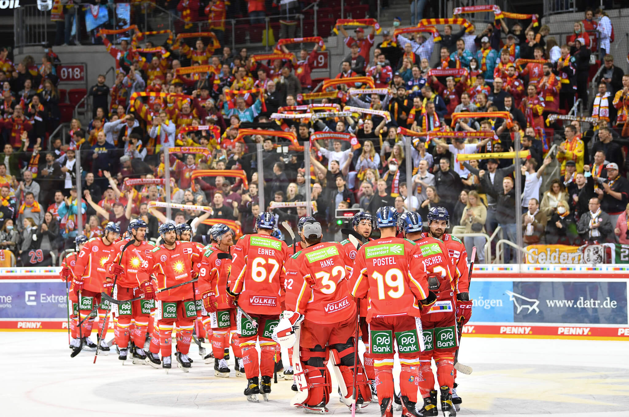 kölner haie düsseldorfer eg live