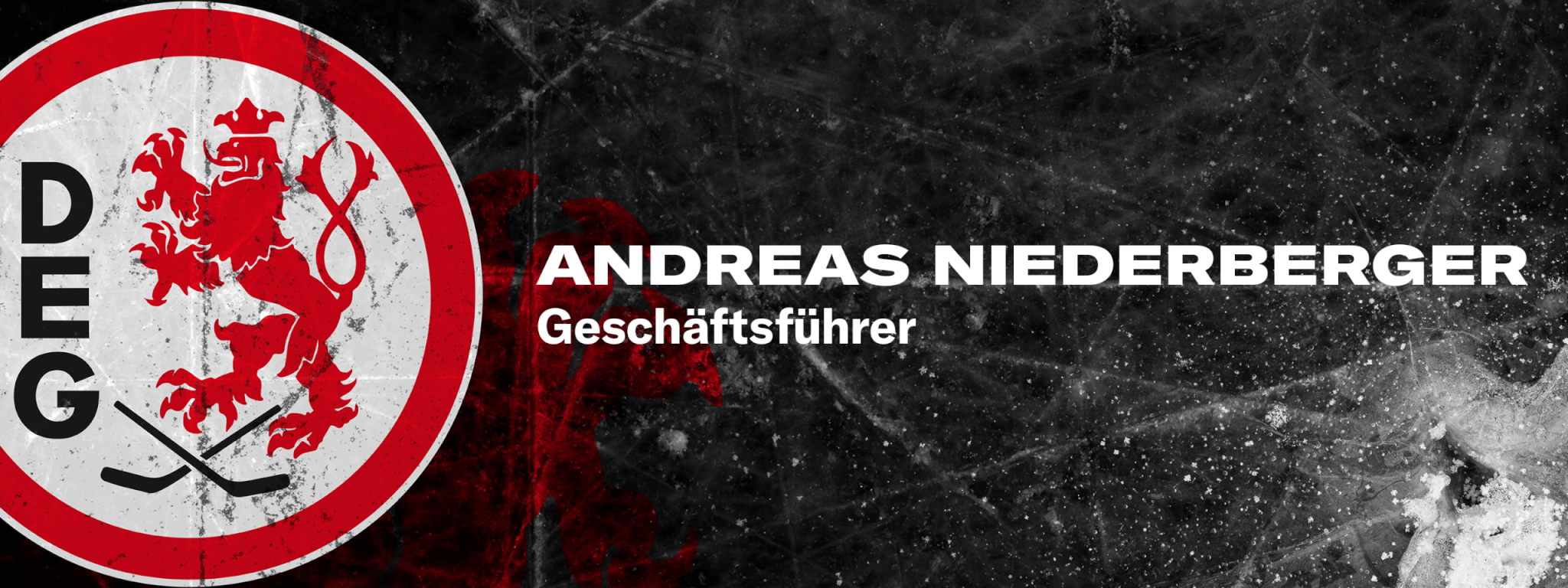 Niederberger Niederberger